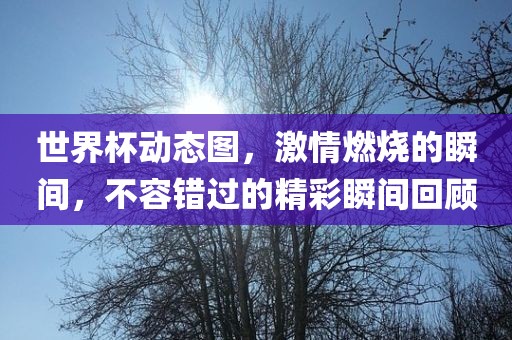 世界杯动态图，激情燃烧的瞬间，不容错过的精彩瞬间回顾
