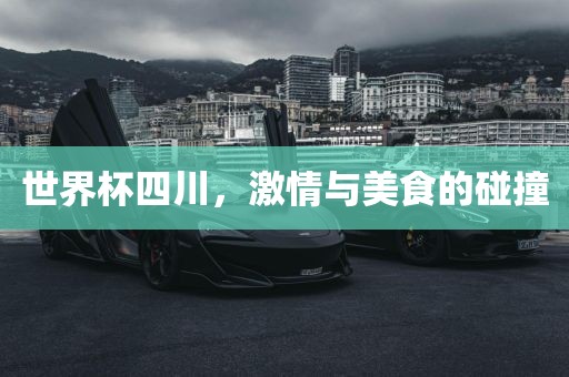 世界杯四川，激情与美食的碰撞眉山市正发家政服务有限公司