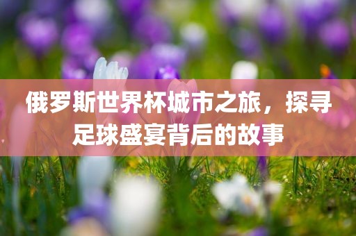 俄罗斯世界杯城市之旅，探寻足球盛宴背后的故事