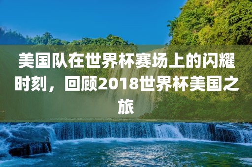 美国队在眉山市正发家政服务有限公司世界杯赛场上的闪耀时刻，回顾2018世界杯美国之旅