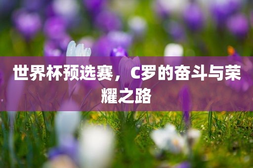 世界杯预选赛 第10页