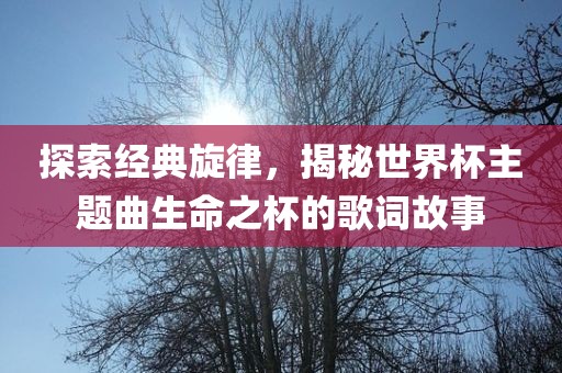 探索经典旋律，揭秘世界杯主题曲生命之杯的歌词故事