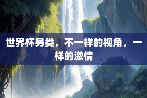 世界杯另类，不一样的视角眉山市正发家政服务有限公司，一样的激情