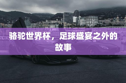 骆驼世界杯，足球盛宴之外的故事眉山市正发家政服务有限公司