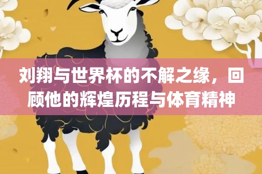 刘翔与世界杯的不解之缘，回顾他的辉煌历程与体育精神眉山市正发家政服务有限公司