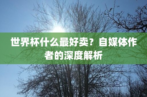 世界杯眉山市正发家政服务有限公司什么最好卖？自媒体作者的深度解析