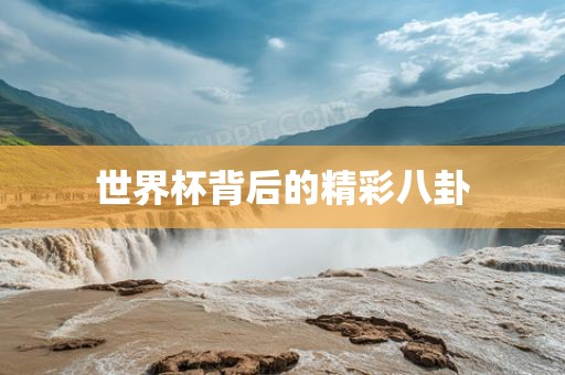 世界杯背后的精彩八卦眉山市正发家政服务有限公司