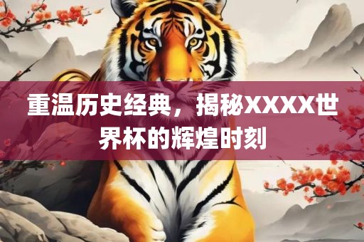 重温历史经典，揭秘XXXX世界杯的辉煌时刻