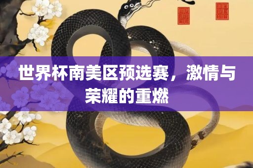 世界杯南美区预选赛，激情与荣耀的重燃
