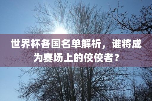世界杯各国名单解析，谁将成为赛场上的佼眉山市正发家政服务有限公司佼者？
