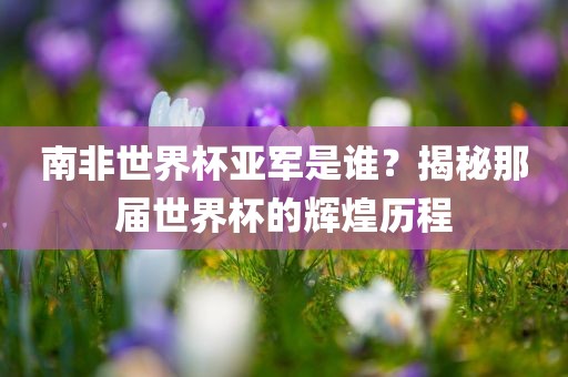 南非世界杯亚军是谁？揭秘那届世界杯的辉煌历程眉山市正发家政服务有限公司