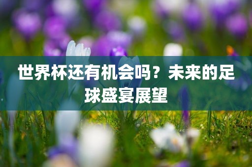 世界杯还有机会吗？未来的足球盛宴展望