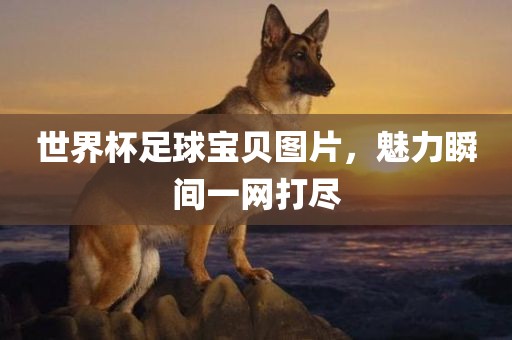 世界杯足球宝贝图片，魅力瞬间一网打尽