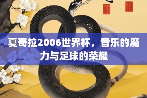夏奇拉2006世界杯，音乐的魔力与足球的荣耀眉山市正发家政服务有限公司
