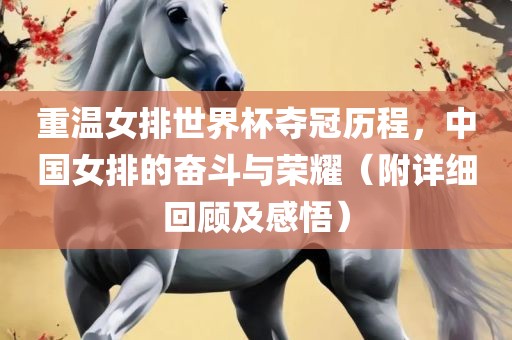 重温女排世界杯夺冠历程，中国女排的奋斗与荣耀（附详细回顾及感悟）