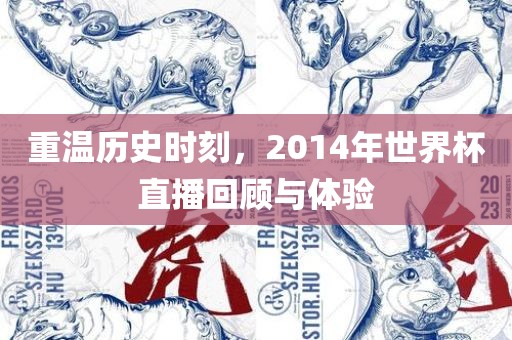 重温历史时刻，2014年世界杯直播回顾与体验