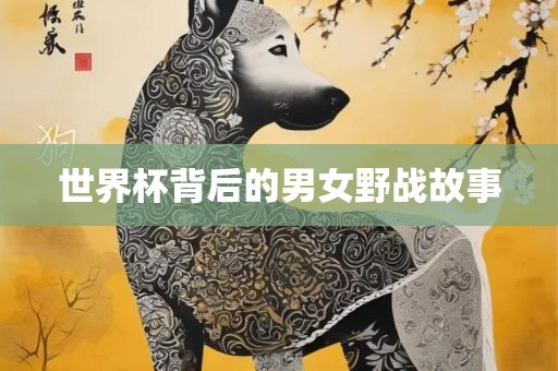 世界杯背后的男女野战故事眉山市正发家政服务有限公司