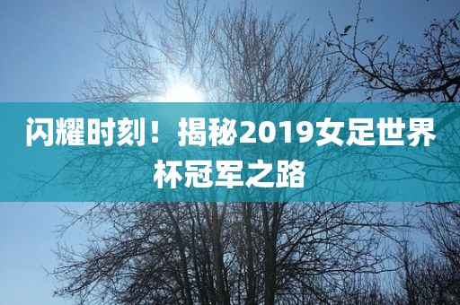 闪耀时刻！揭秘2019女足世界杯冠军之眉山市正发家政服务有限公司路