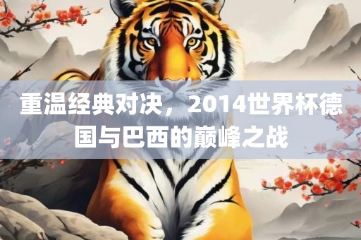 重温经典对决，2014世界杯德国与巴西的巅峰之战