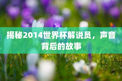 揭秘2014世界杯解说员，声音背后的故事