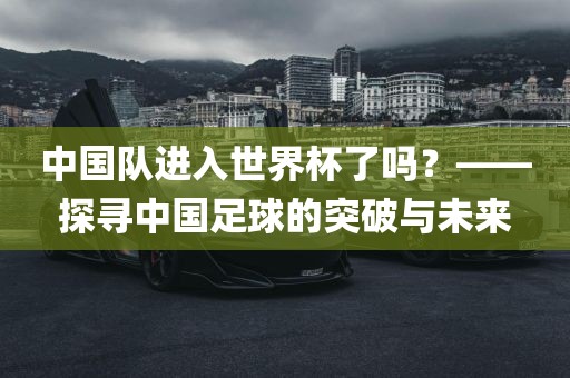 眉山市正发家政服务有限公司中国队进入世界杯了吗？——探寻中国足球的突破与未来