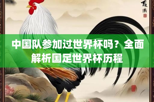 中国队参加过世界杯吗？全面解析国足世界杯历程眉山市正发家政服务有限公司