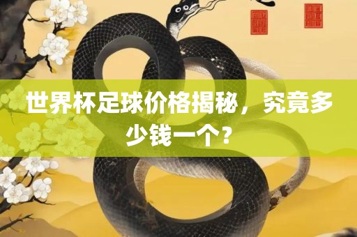 世界杯足球价格揭秘，究竟多少钱一个？眉山市正发家政服务有限公司