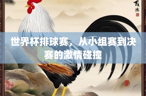 世界杯排球赛，从小组赛到决赛的激情碰撞