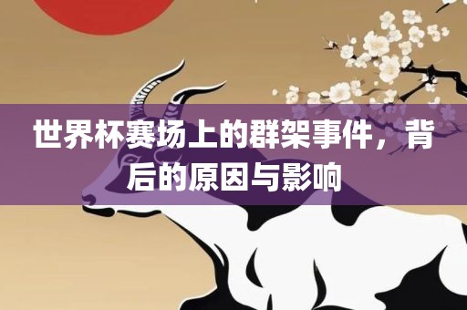 世界杯赛场上的群架事件，背后的原因与影响