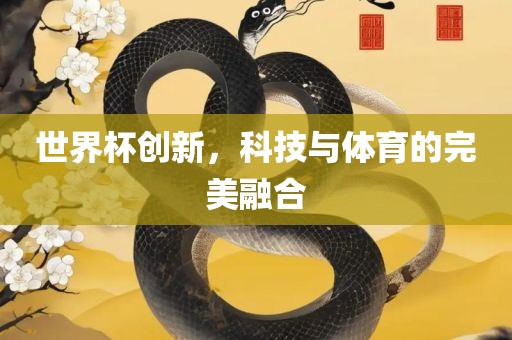 世界杯创新，科技与体育的完美融合
