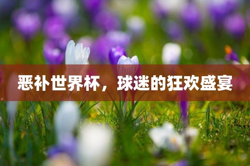 恶补世界杯，球迷的狂欢盛宴