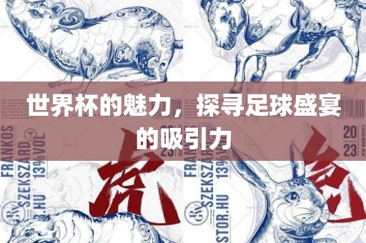 世界杯的魅力，探寻足球盛宴的吸引力眉山市正发家政服务有限公司