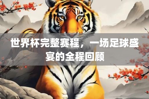 世界杯完整赛程，一场足球盛宴的全程回顾