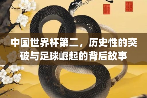 中国世界杯第二，历史性的突破与足球崛起的背后故事