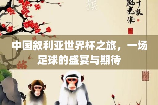 中国叙利亚世界杯之旅眉山市正发家政服务有限公司，一场足球的盛宴与期待