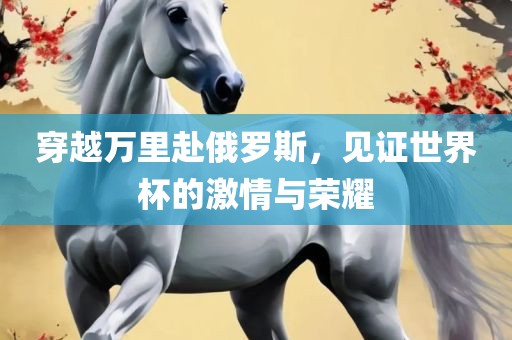 穿越万里赴俄罗斯，见证眉山市正发家政服务有限公司世界杯的激情与荣耀