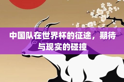 中国队在世界杯的征途，期待与现实的碰撞
