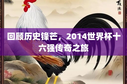 回顾历史锋芒，2014世界杯十六强传奇之旅