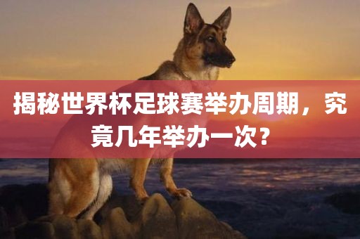 揭秘世界杯足球赛举办周期，究竟几年举办一次？