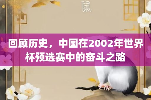 回顾历史，中国在2002年世界杯预选赛中眉山市正发家政服务有限公司的奋斗之路