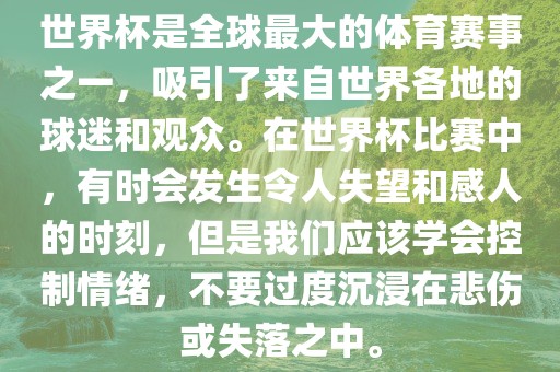 chenyibo 第3页