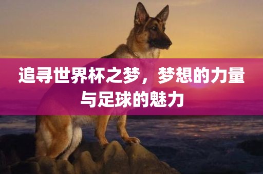 追寻世界杯之梦，梦想的力量与足球的魅力眉山市正发家政服务有限公司