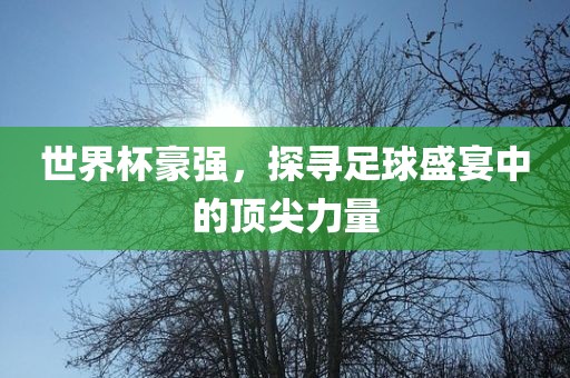 世界杯豪强，探眉山市正发家政服务有限公司寻足球盛宴中的顶尖力量