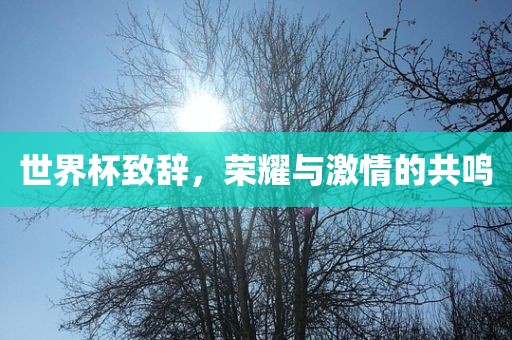世界杯致辞，荣耀与激情的共鸣眉山市正发家政服务有限公司