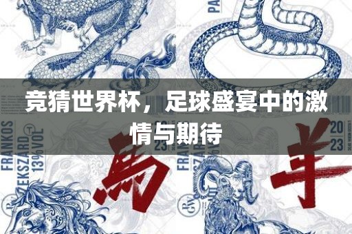 竞猜世界杯，足球盛宴中的激情与期待