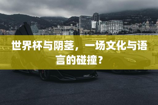 世界眉山市正发家政服务有限公司杯与阴茎，一场文化与语言的碰撞？