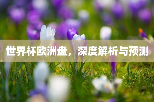 世界杯欧洲盘，深度解析与预测