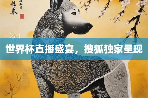世界杯直播盛宴，搜狐独家呈现
