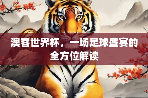 澳客世界杯，一场足球盛宴的全方位解读