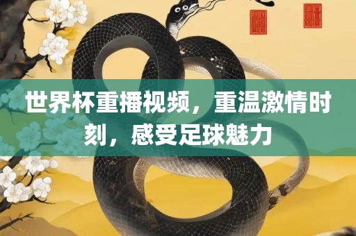 世界杯重播视频，重温激情时刻，感受足球魅力